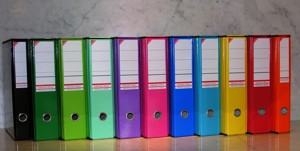 REGISTRATORE NEW BALASKIN DORSO 8CM ARANCIO Foto prodotto